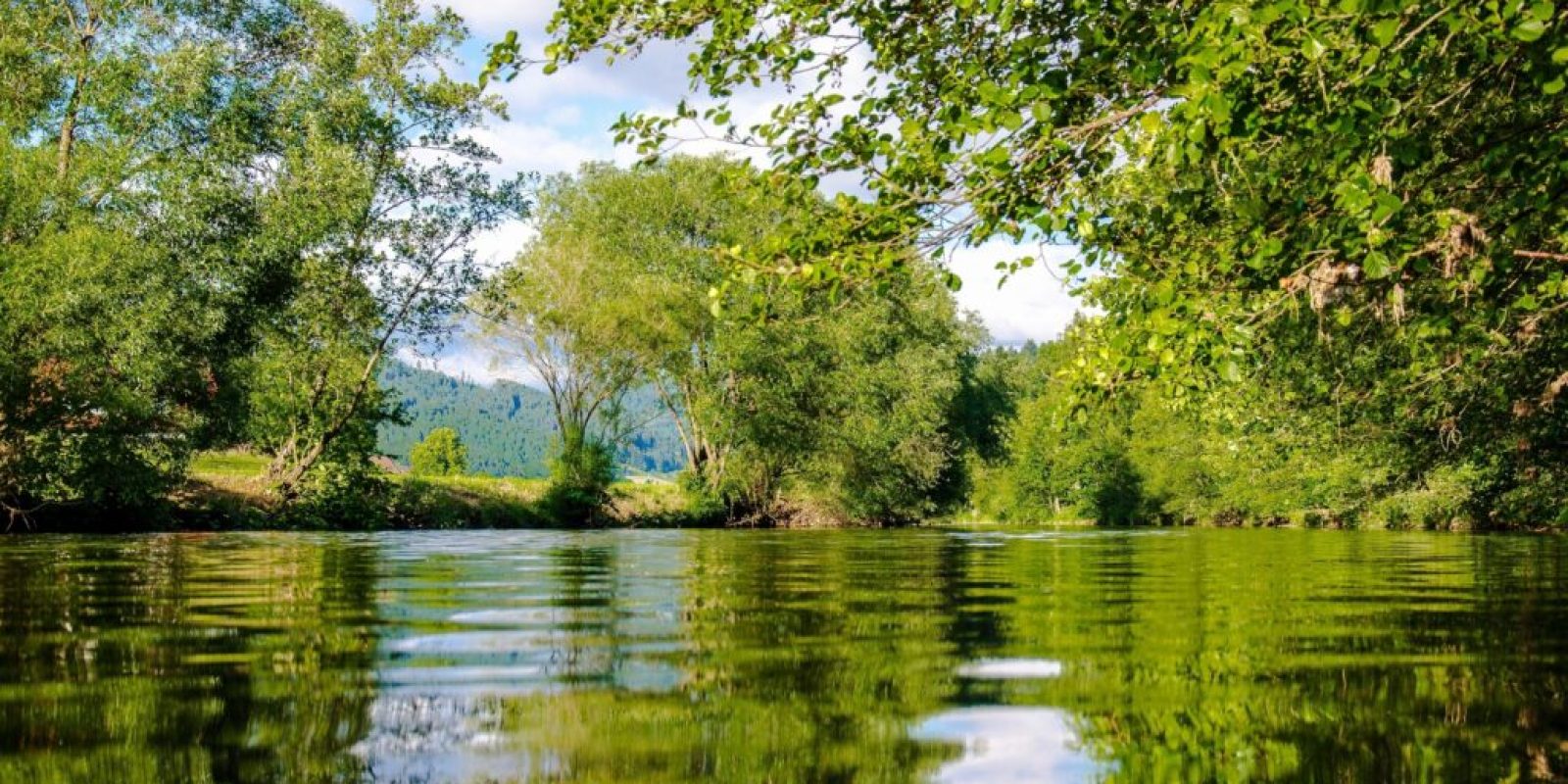 How-to-build-trust-with-yourself